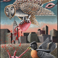 Morgan Bulkeley'swork, Book: Barn Owl, American Robin Mask